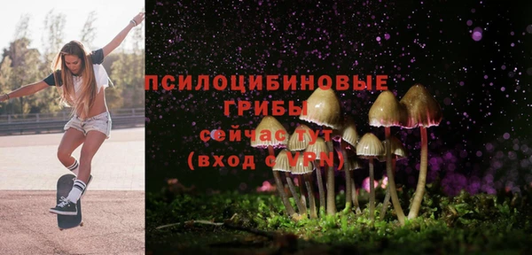 прущий лед Белокуриха